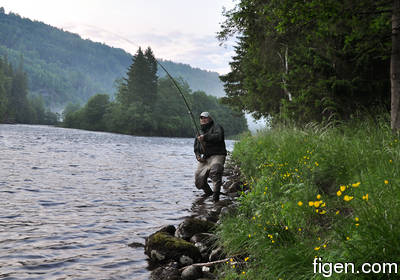 big_090701-Orkla-Rennebu-Figen-storlax-CJ.html