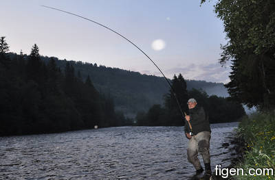 big_090701-Orkla-Rennebu-Figen-storlax2-CJ.html