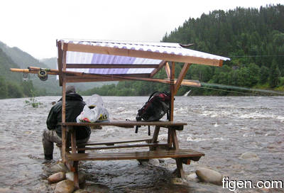 big_090720-Gaula-Langora-flom3-DB.html