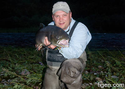 big_090721-Gaula-Sverre-figen-DB.html