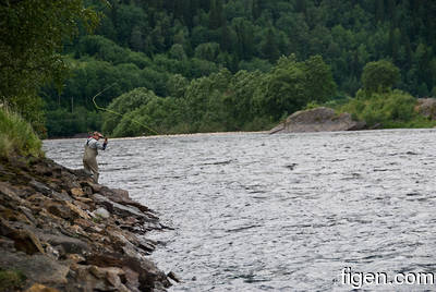 big_090722-Gaula-Kjelloy-Dariusz2.html