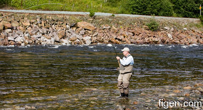 big_090722-Gaula-Kroken-figen-fish-DB.html