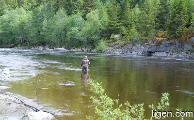 big_100613-Orkla-langholen-alfsen2.html
