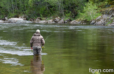 big_100613-Orkla-langholen-alfsen3.html