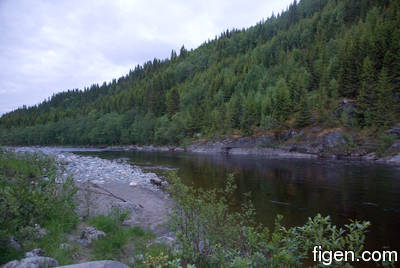 big_100617-Orkla-langholen.html