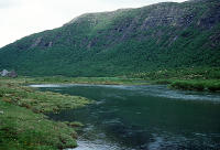 Innosen i fjellvannet