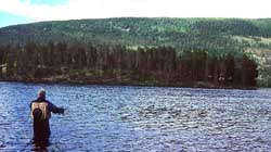 big_990707-trysilelva-tormod-kaster.html