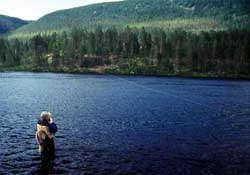 big_990707-trysilelva-tormod-kjorer.html