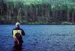 big_990707-trysilelva-tormod-kjorer2.html