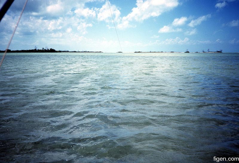 big_990402-mexico-punta_allen-bonefish1.jpg